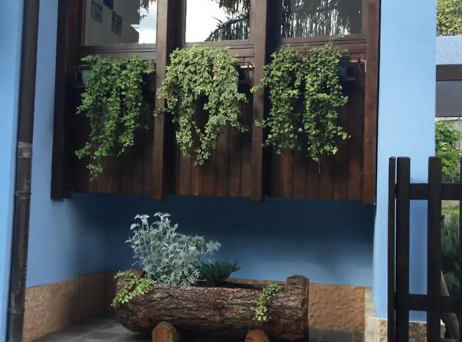 特伦托住宿加早餐旅馆