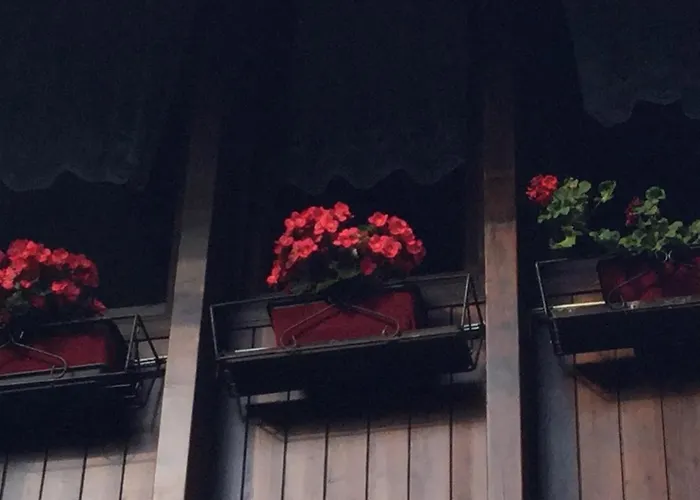 特伦托住宿加早餐旅馆 4*