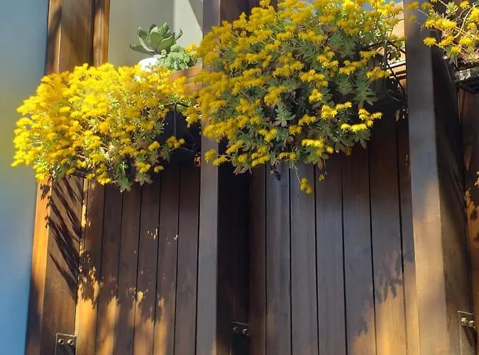 特伦托住宿加早餐旅馆 住宿加早餐酒店
