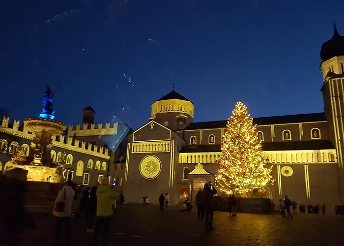 特伦托住宿加早餐旅馆 住宿加早餐酒店 4*